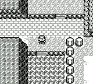 Pokemon-Blue-screen02