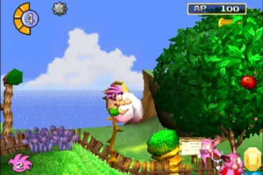 Tombi_PS1_03